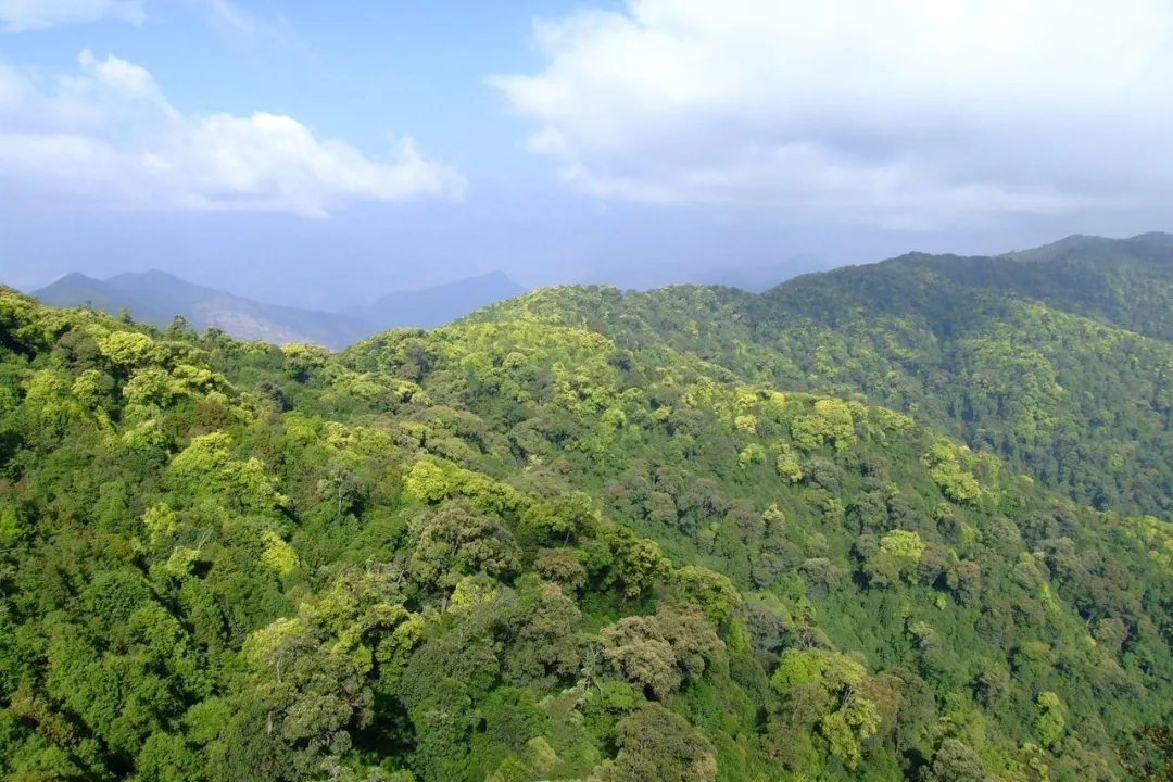 景东检察积极作为,守护青山走进基层