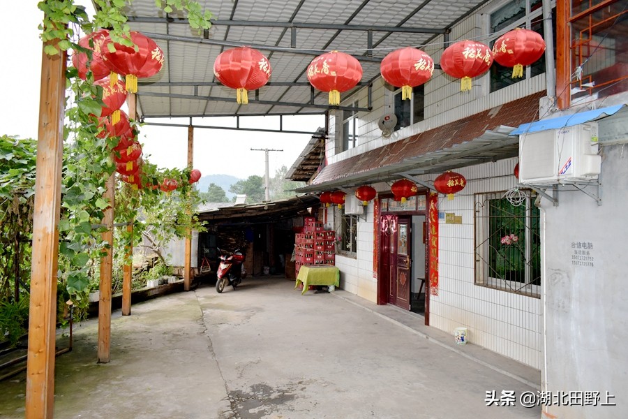 田野上團(tuán)隊(duì)下鄉(xiāng)小記丨走進(jìn)省級美麗鄉(xiāng)村示范村—分鄉(xiāng)鎮(zhèn)百里荒村
