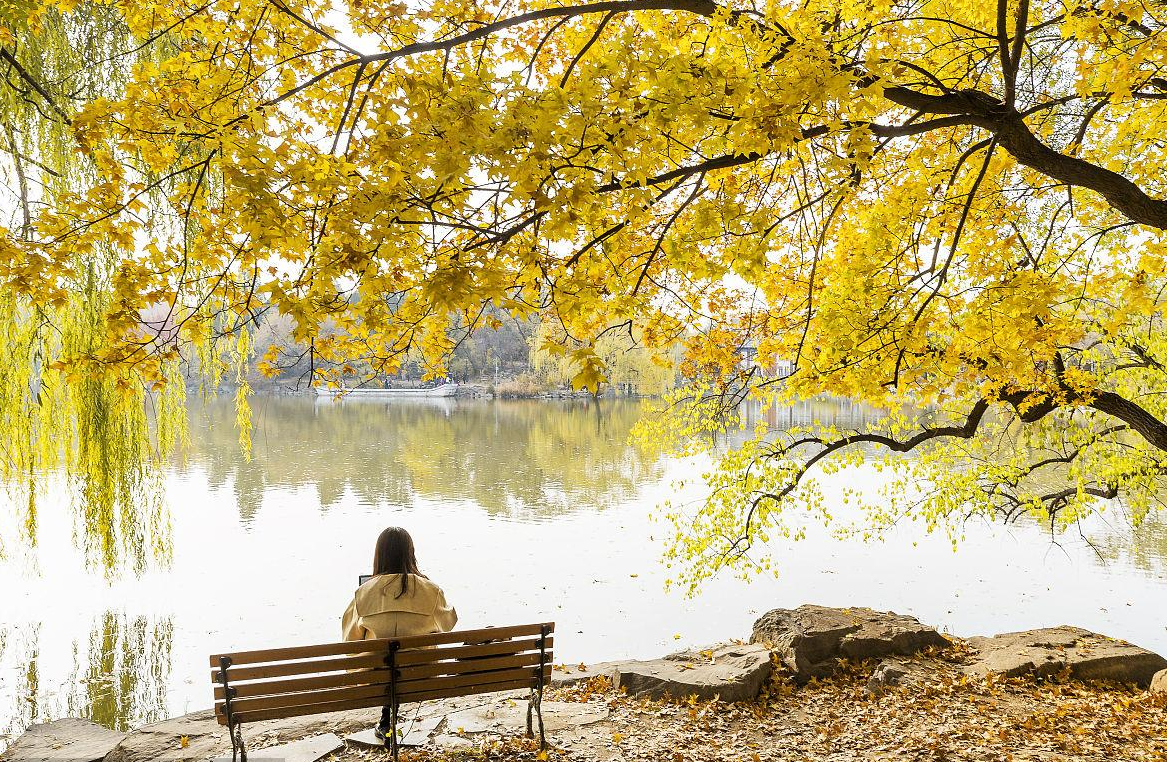 文科生青睐的热门高校排行，清华力压北大，上财成功步入首批名单