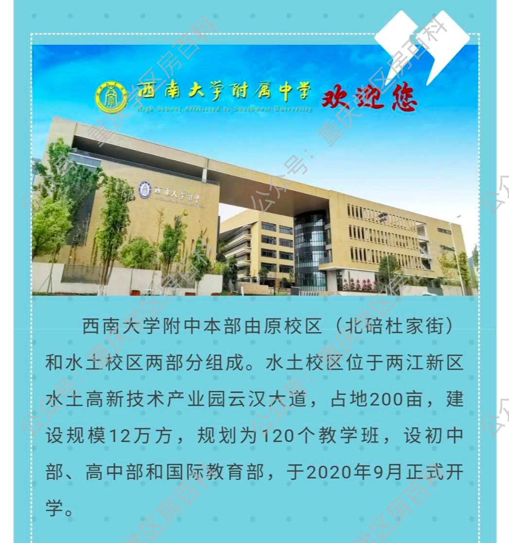 关于西南大学附中这些分校