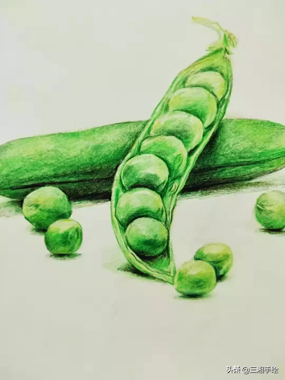 彩铅教程,豌豆荚画的淋漓尽致,零基础容易上手