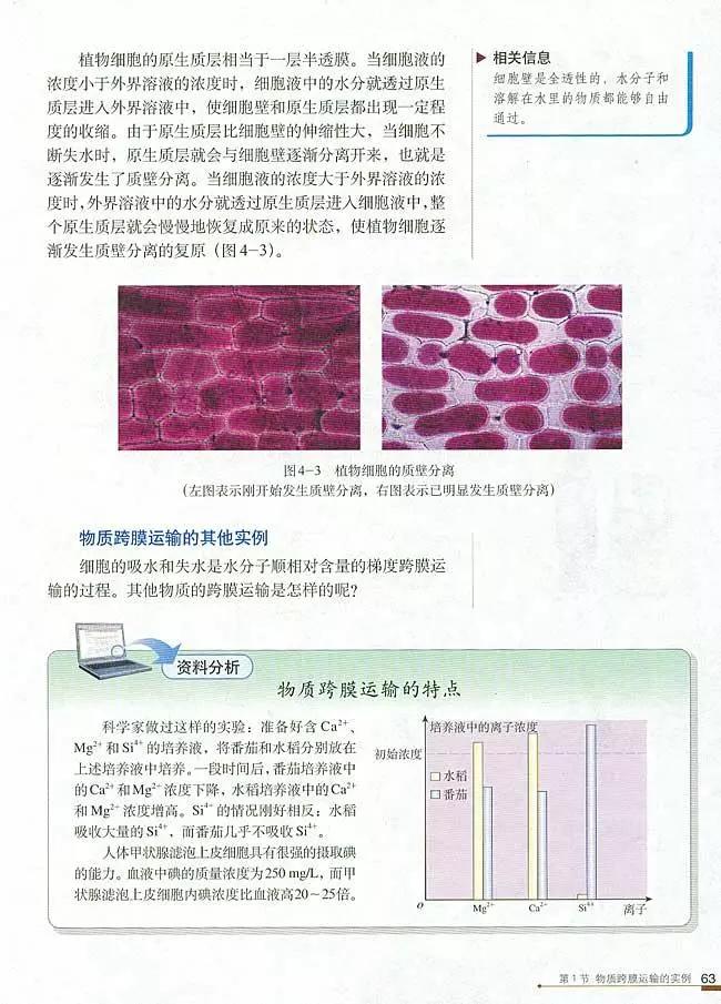 人教版高中生物（必修1）电子课本（高清版）