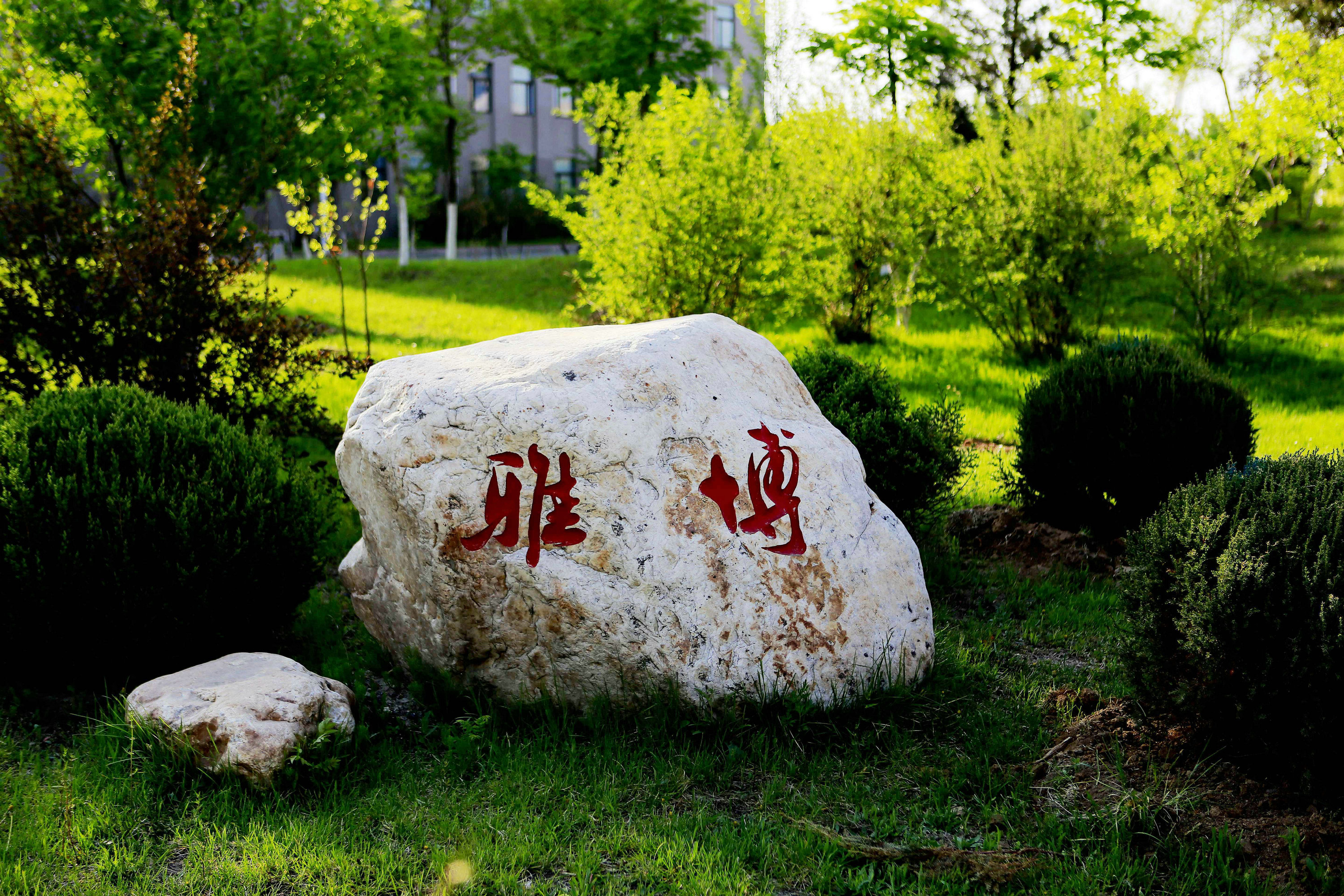 辽宁科技学院在哪（辽宁科技学院）