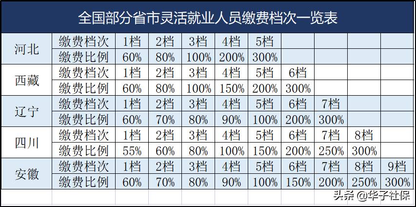 什么是缴费档次？对退休养老金有什么影响？