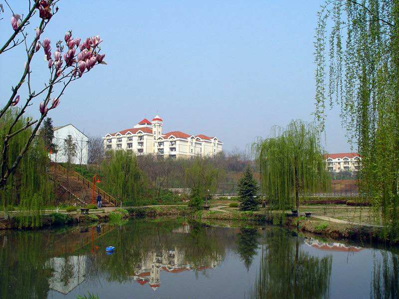 华北电力大学（保定）和合肥工业大学哪个好？这样对比才不耍流氓