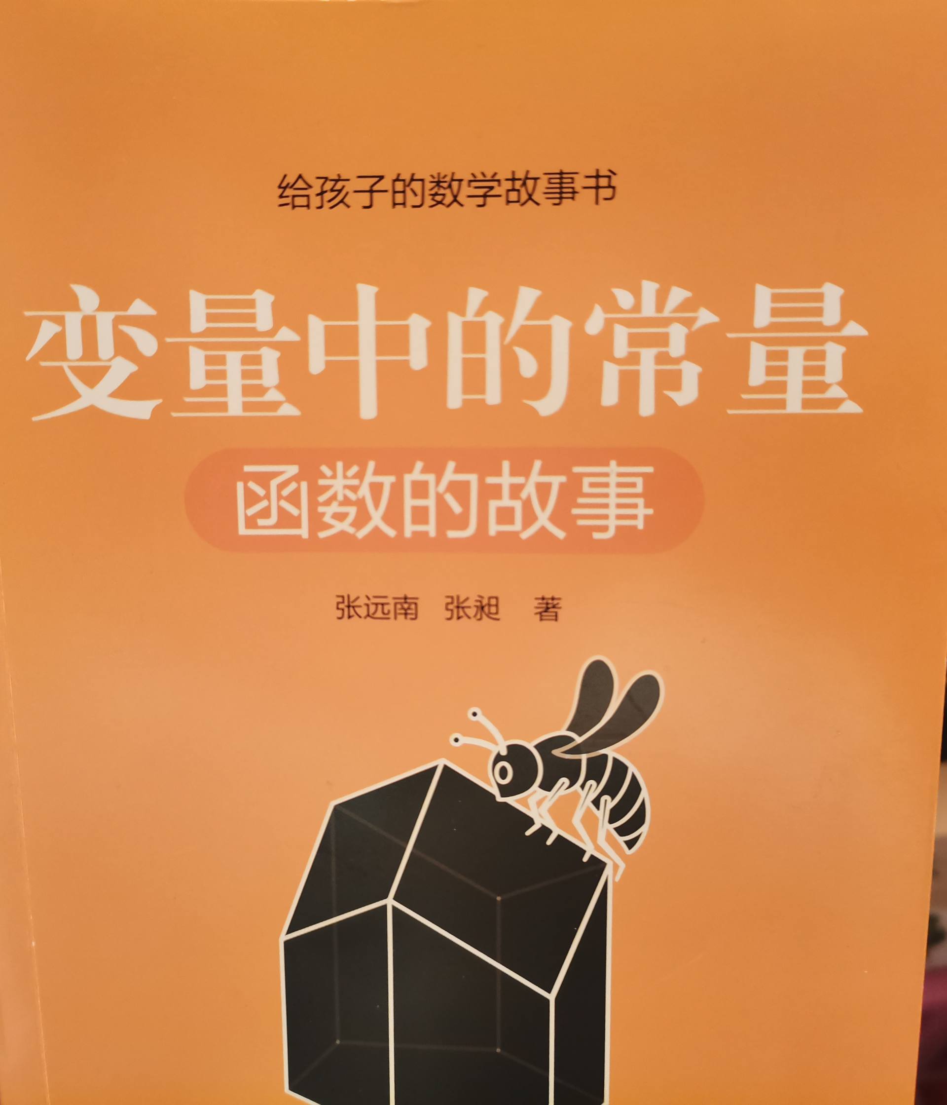 给孩子的数学故事书61变量中的常量,跟孩子讲讲函数的故事