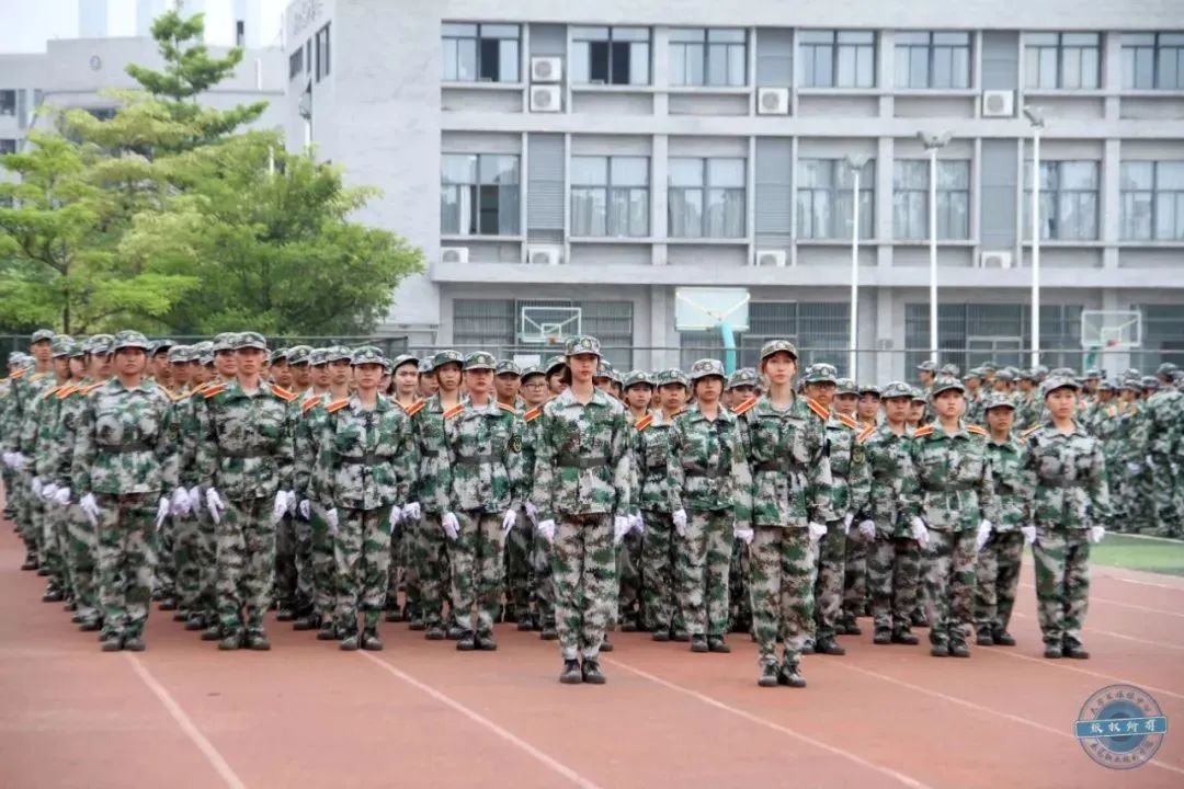 高职高考必看｜全面了解东莞职业技术学院