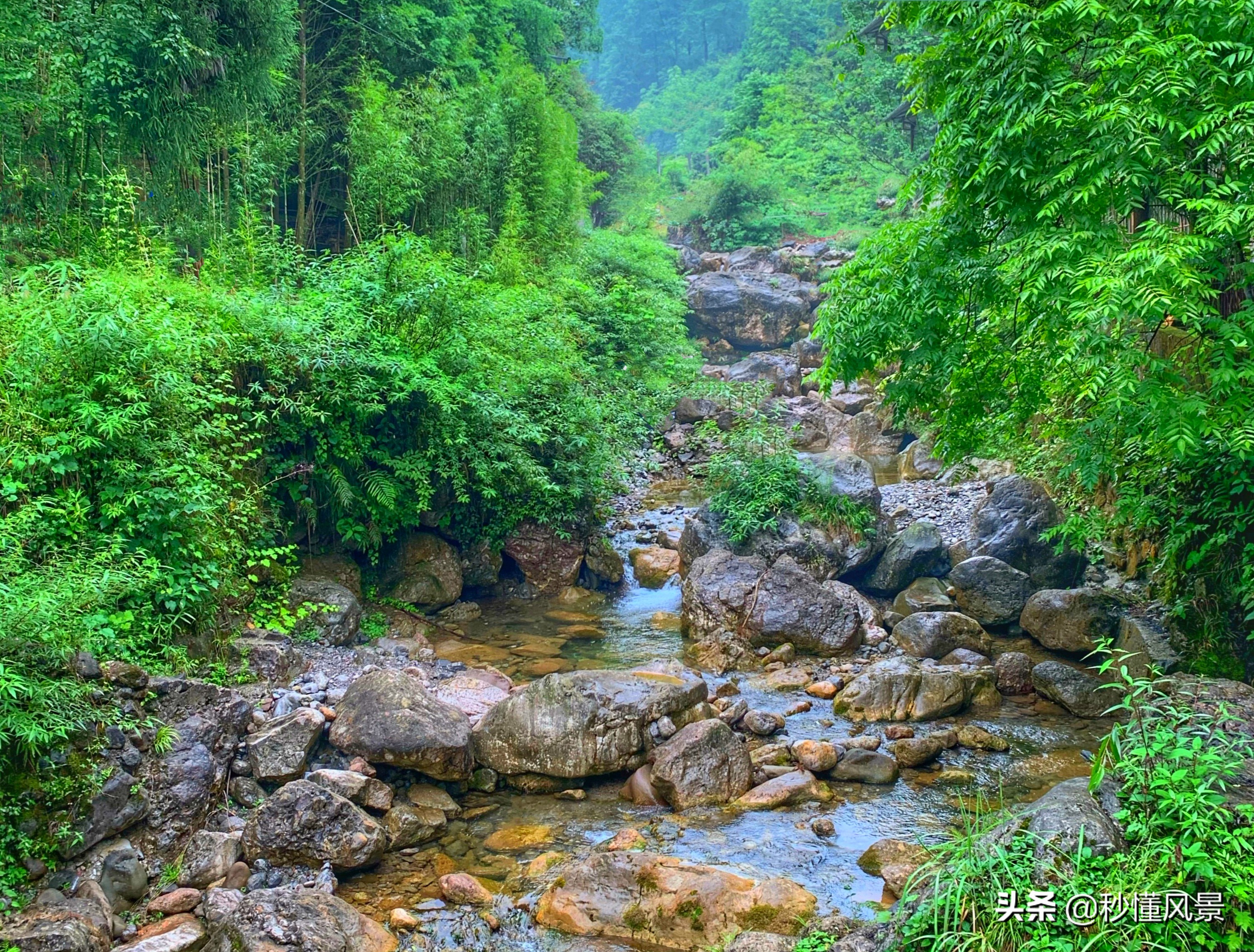 成都周边旅游景点推荐(成都周边旅游景点推荐自驾游2天)