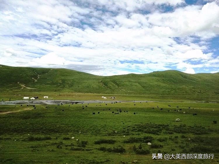 甘南风景里的情诗：任你雪月风花，我只愿逐草天涯