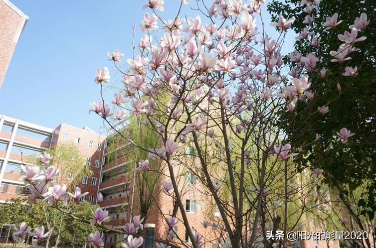 安徽省重点高校2019年招生分数线介绍