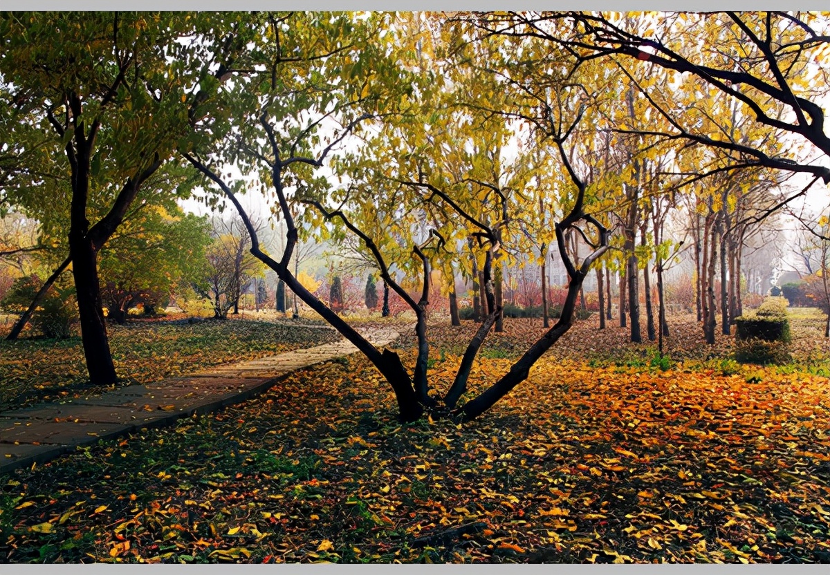 辽宁一所公办大学，招生缺额1633人，47个专业没招满，原因何在？