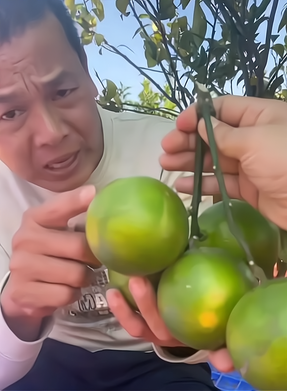 感动！全红婵父亲仍自食其力卖橙子：拒绝商铺豪宅不消费女儿荣誉