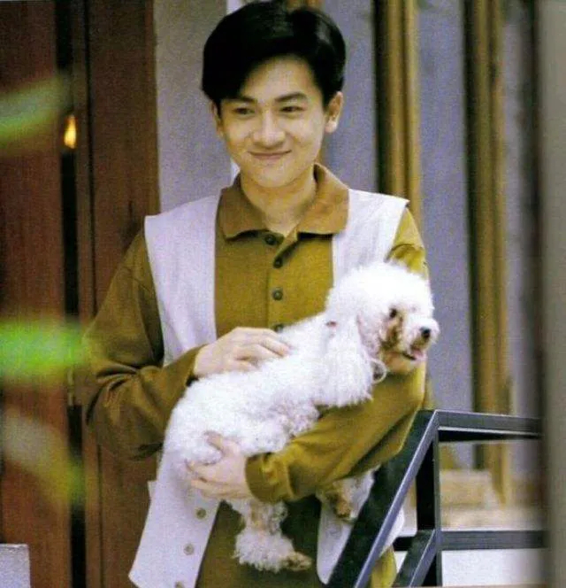 处女座明星很多都是年少成名，这六位明星都是20岁以前就成名了