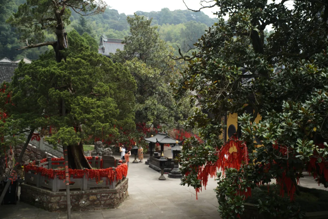 别再说什么小京都了,宁波这些寺庙来打脸了