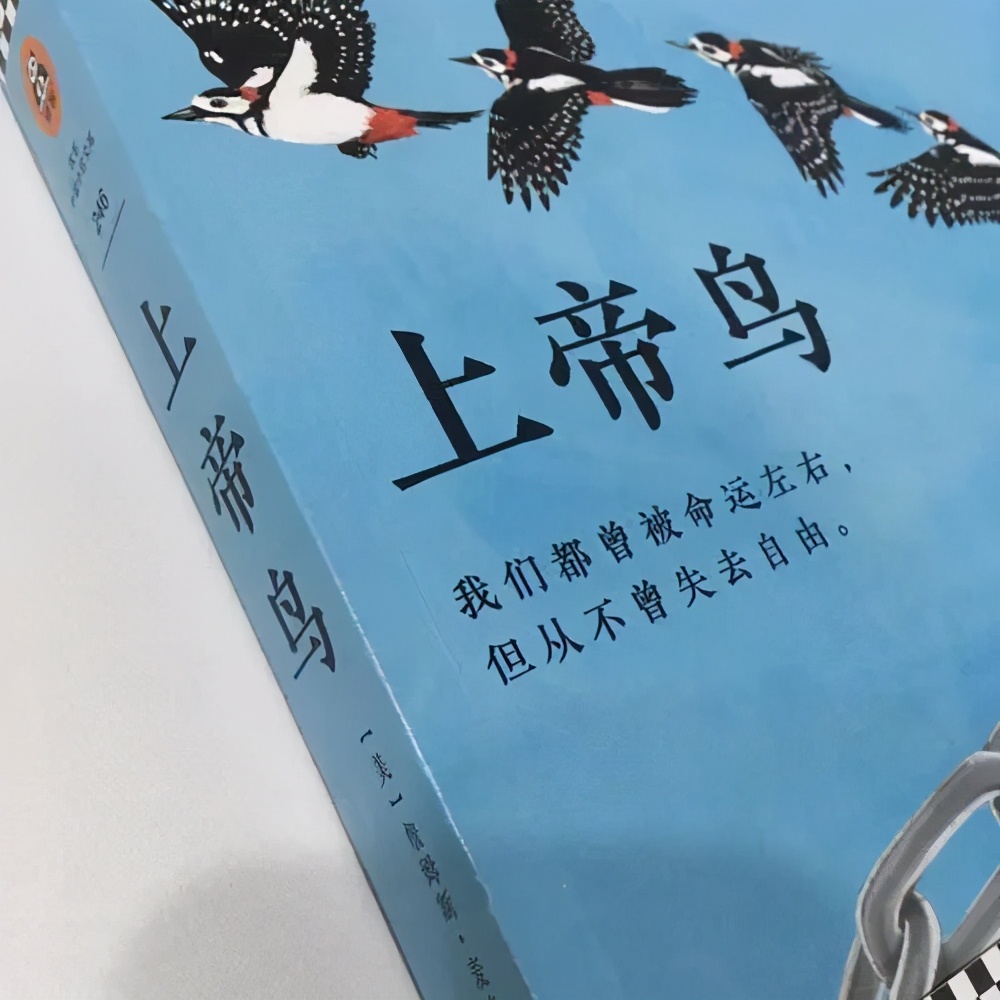 豆瓣8.2神剧《神之鸟》打倒恐怖的黑奴制，然后依靠残暴的狂人吗？