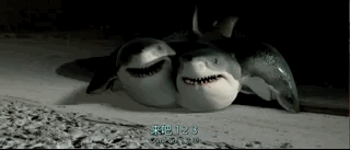 鲨鱼帝国豆瓣图片