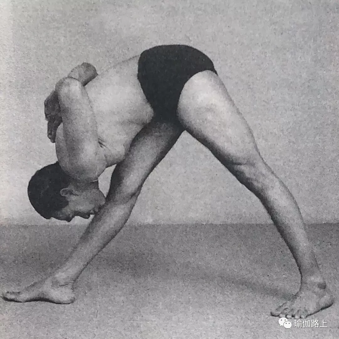 艾扬格密集一 | 32 个经典体式 & 2 大呼吸法经典示范图