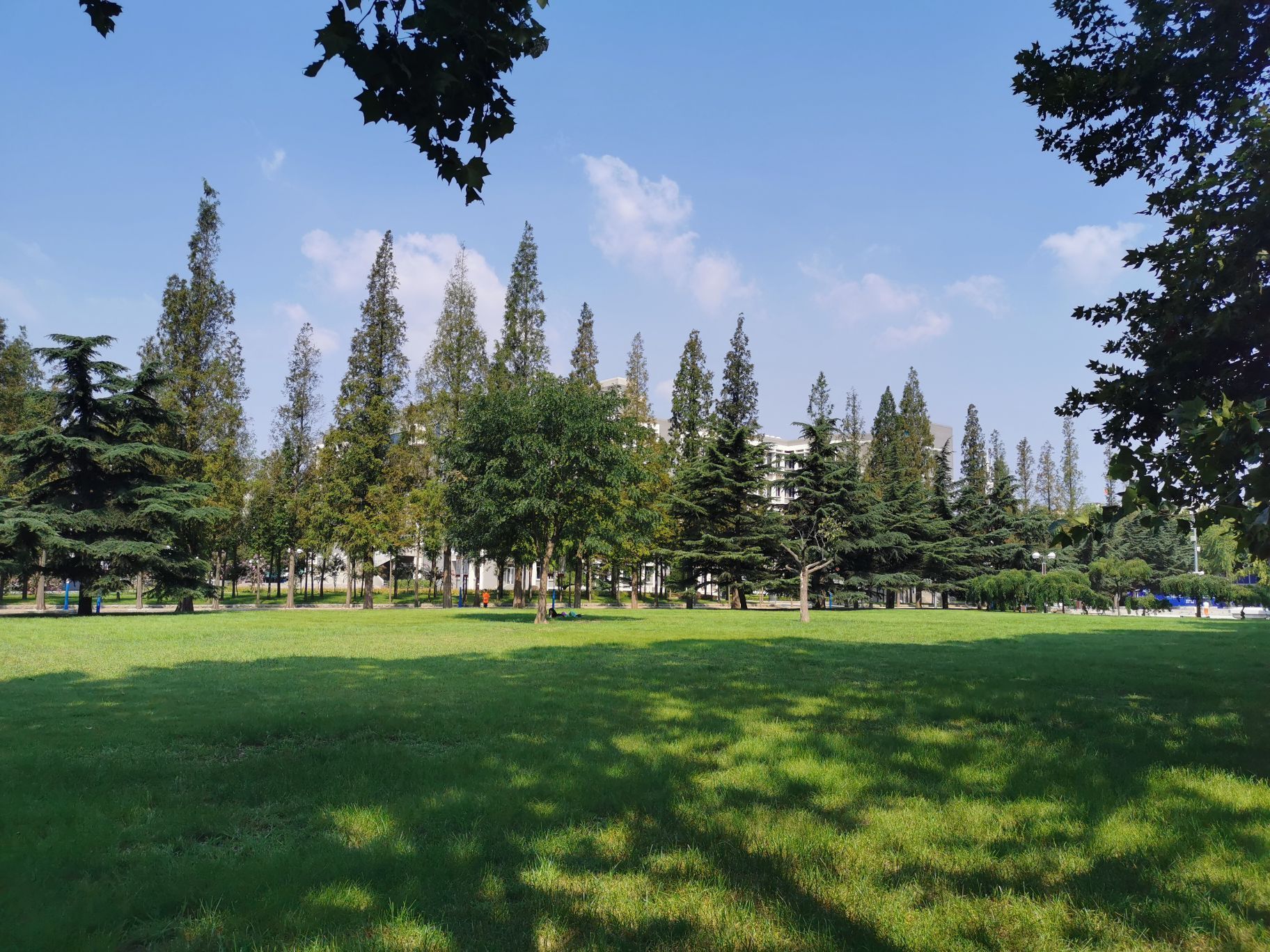 填报志愿，想在辽宁上学的考生注意啦，总结10所大学以及热门专业