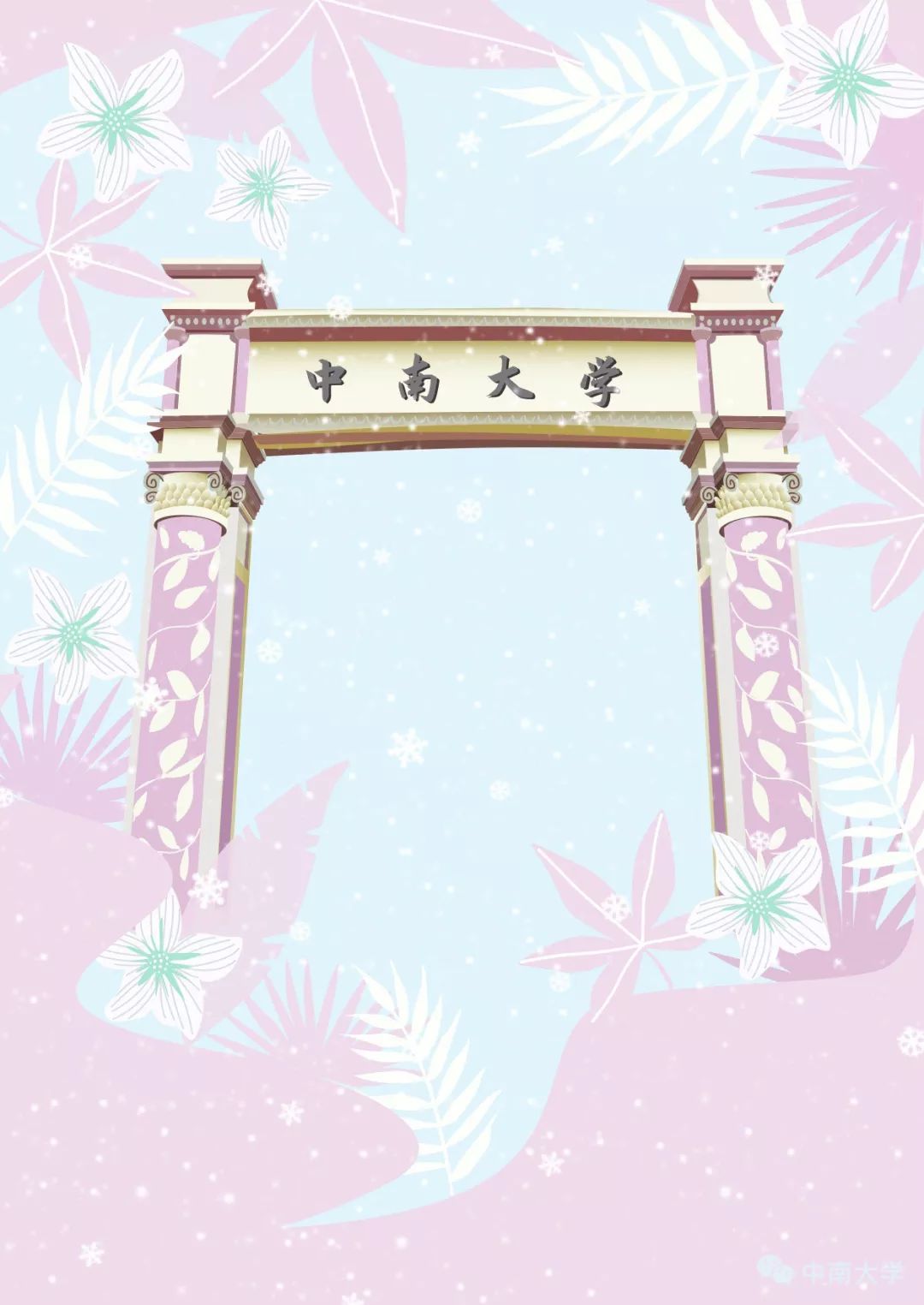 中南大学有几个校区（手绘中南）