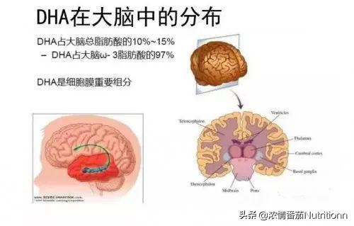 婴儿一段奶粉营养成分，国家做了哪些强制规定？