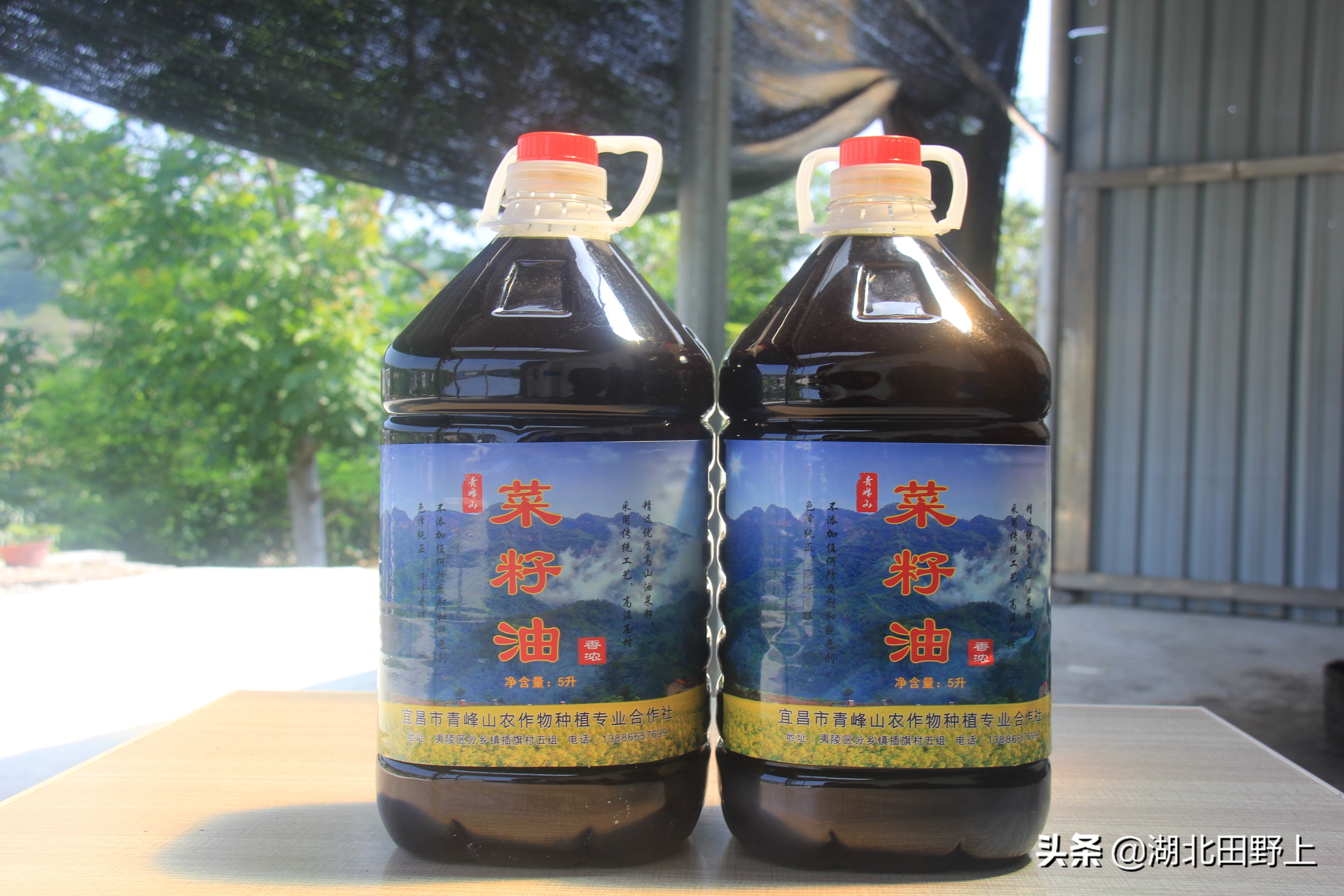 田野上團(tuán)隊(duì)回訪(fǎng)美麗的分鄉(xiāng)鎮(zhèn)插旗村