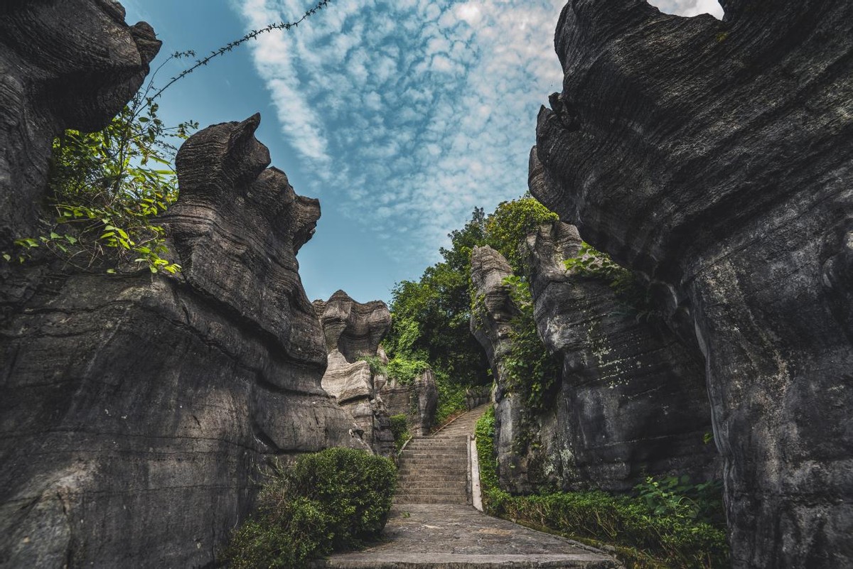 重庆黑山谷(巴山渝水踏歌行|万盛黑山谷站——青山幽谷中的天然氧吧)