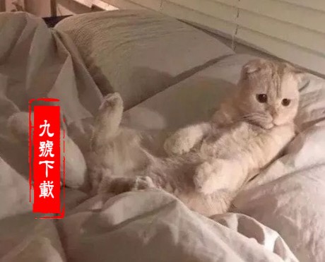 抖音上最红的100首歌有哪些-2019抖音歌曲大全100首