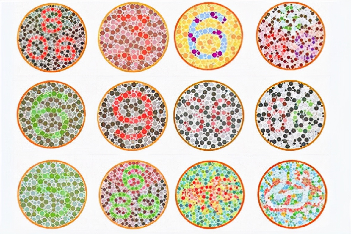 大一新生因体检不过关，入学5天就被学校劝退，他未来何去何从？