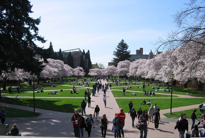 求问美国华盛顿大学university of washington到底怎么样？