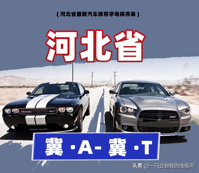 æ²³åŒ—çœ�æ±½è½¦ç‰Œç…§å&shy;—æ¯�æ�’åº�