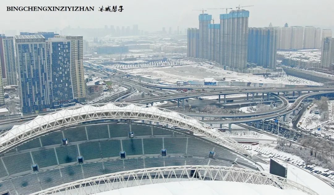 冰城暴雪冻雨之时，却让哈尔滨成为冬的水墨画卷