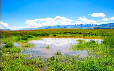 适合发表心情的说说句子，简短经典