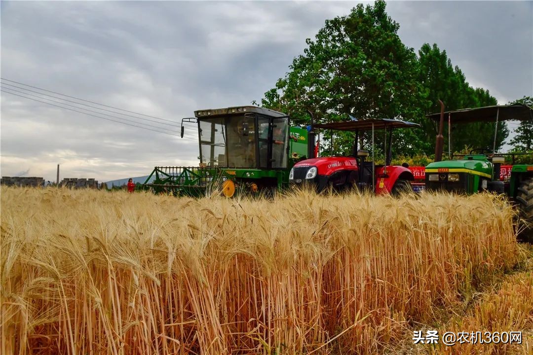 寫給小麥機(jī)用戶：購機(jī)時使用5大策略增加收益保障