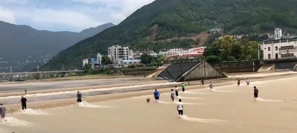 洪水冲击，千岛湖鱼“飞上天”，不乏几十斤大鱼，下游捡鱼欢