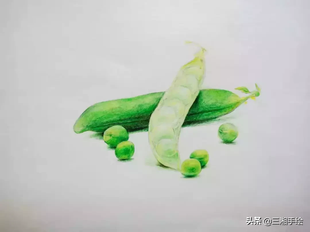 彩铅教程,豌豆荚画的淋漓尽致,零基础容易上手