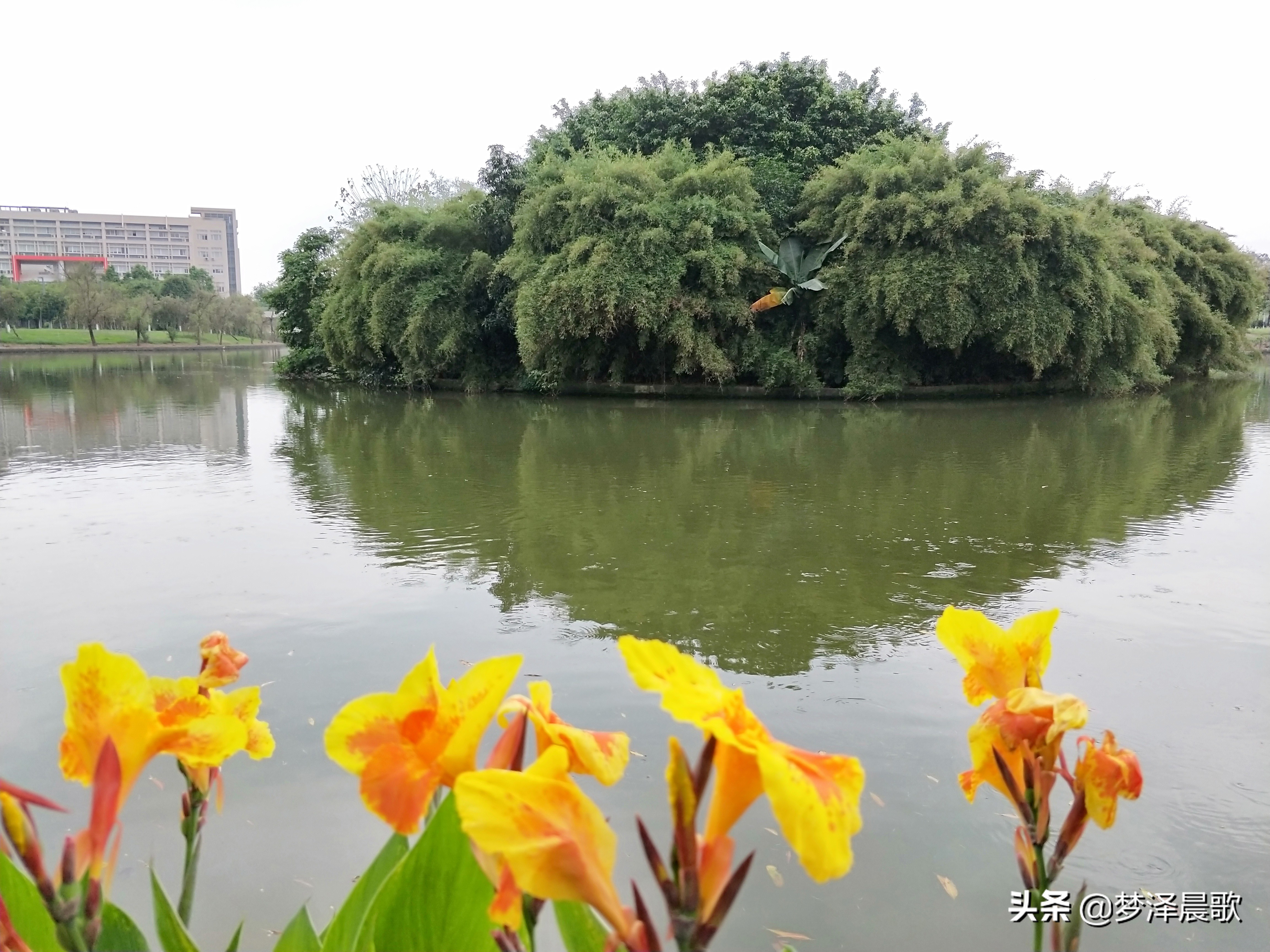 美丽校园“广州大学”