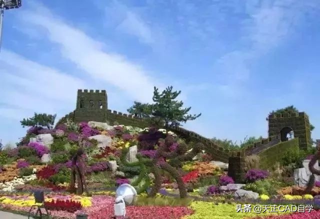 园林景观花坛设计技巧总结,看完涨知识了