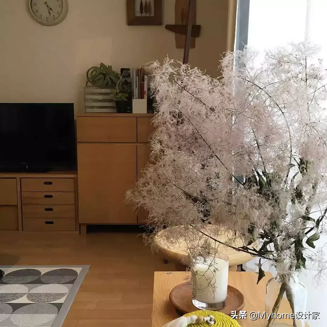 日本女生有底气,出租屋都能这样改!4招让宿舍高颜还有治愈感