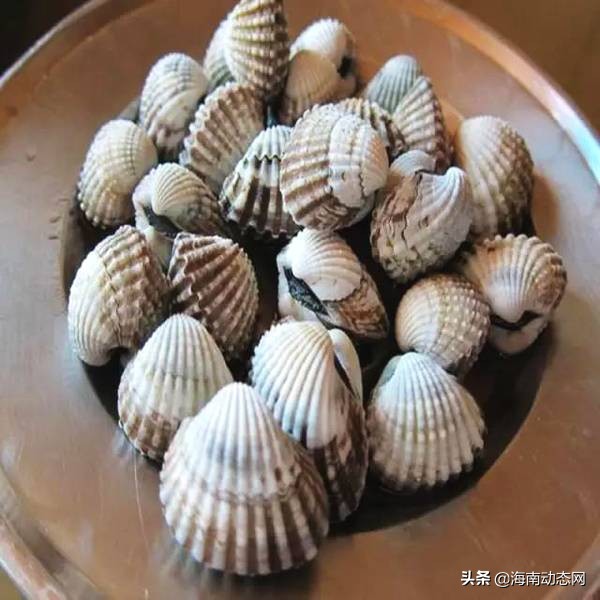 海魚圖片大全,海魚圖片大全及名稱