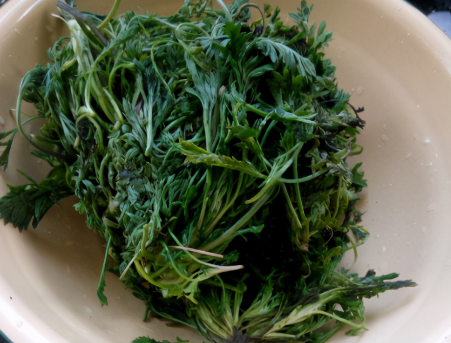 全身都是宝的菜,可惜很多人当草,我家隔三差五吃,做早餐特好