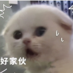 16款紙巾評測：月銷10w+的不知名品牌，竟然比得寶、妮飄還要貴？