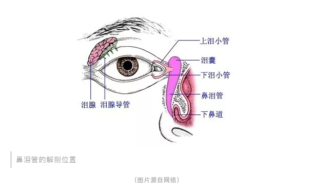 宝宝经常流眼泪、眼屎多，千万不容忽视