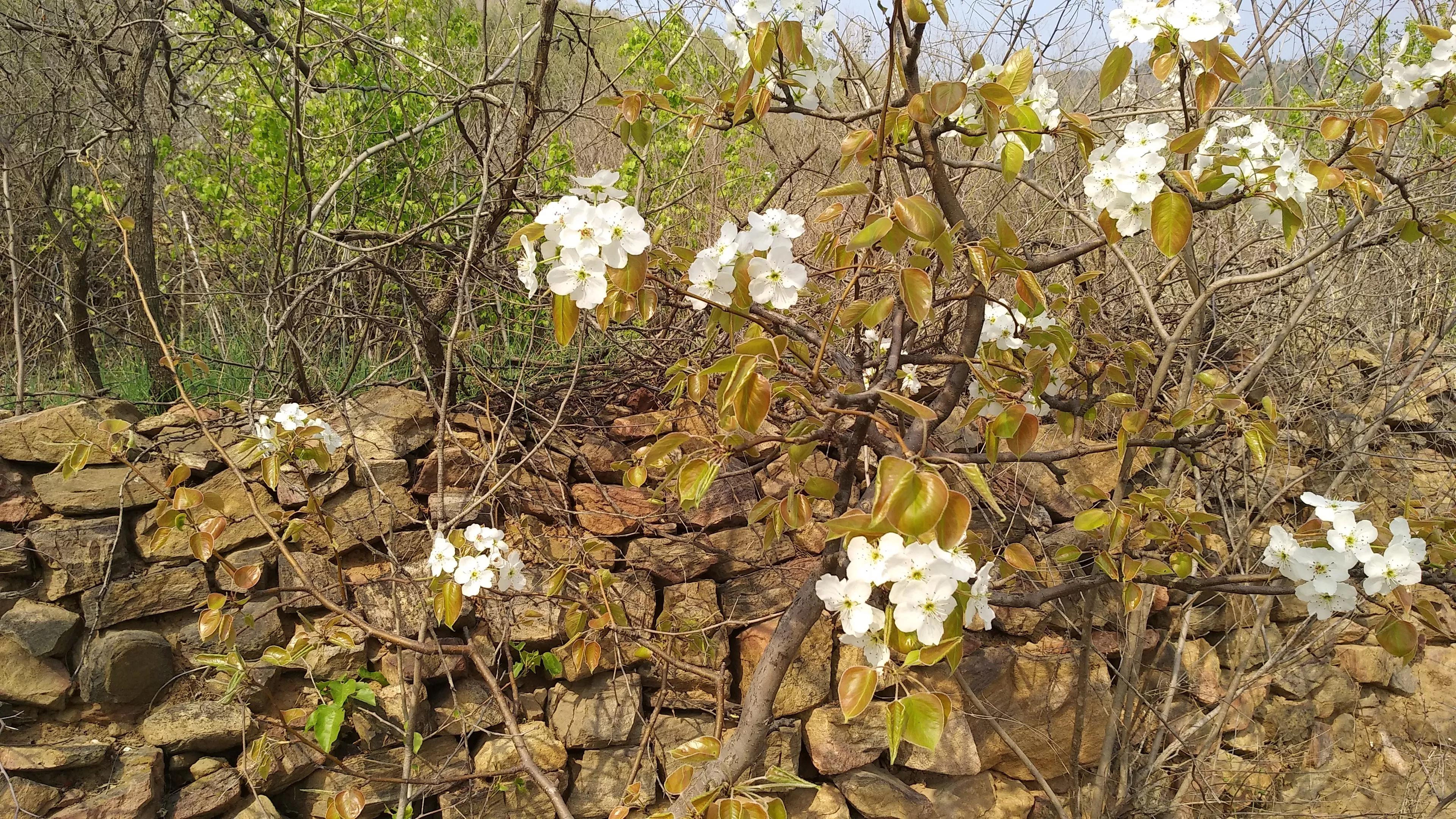 了解一下儿真正的陶渊明