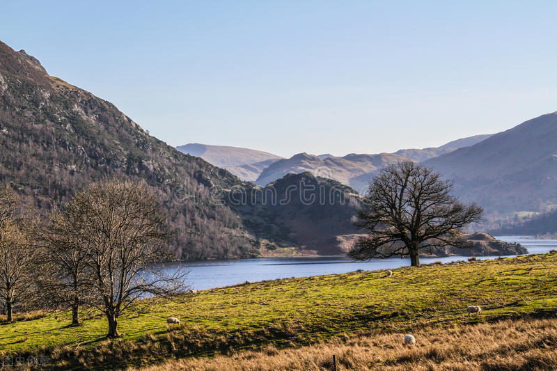 中、高考英语分值降低的可能性潜在影响