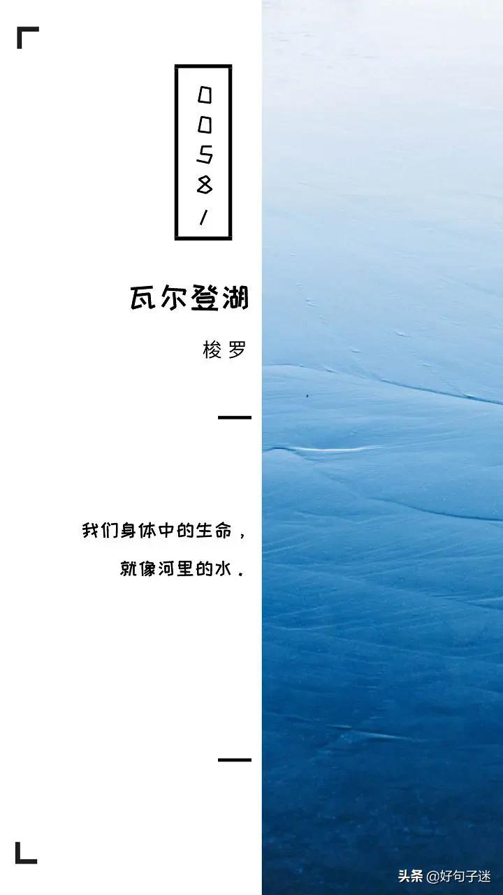 瓦尔登湖经典句子（分享12句小说瓦尔登湖的经典语录）