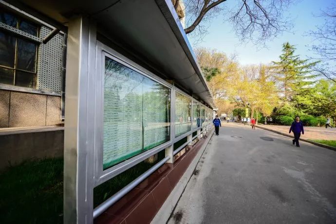 甘肃兰州2020高考，西北师大附中创佳绩，5人名列全省文理前3强