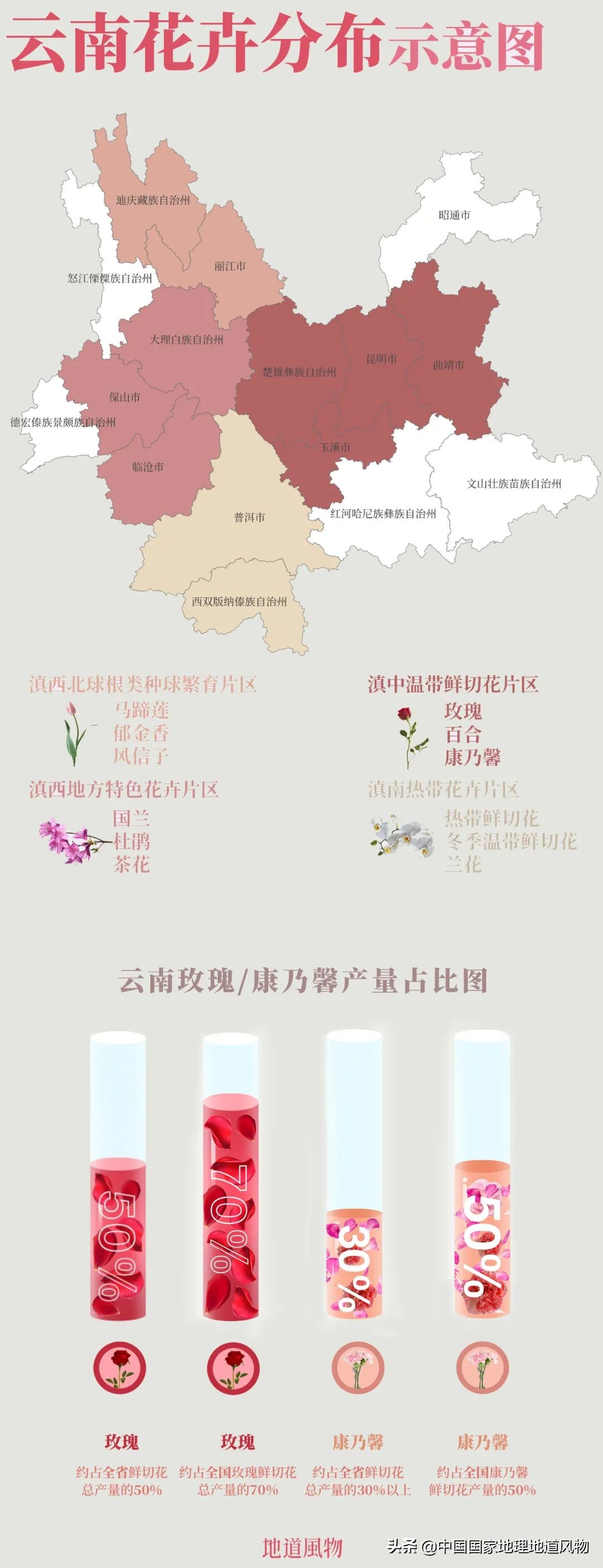玫瑰、兰花、康乃馨，牡丹、杜鹃、山茶花，云南的花到底有多美？