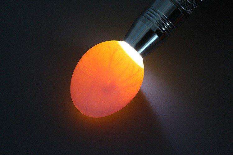 睾丸肿物,如何"蛋定"应对