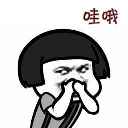 房子刚装修完，高效去甲醛的方法给你
