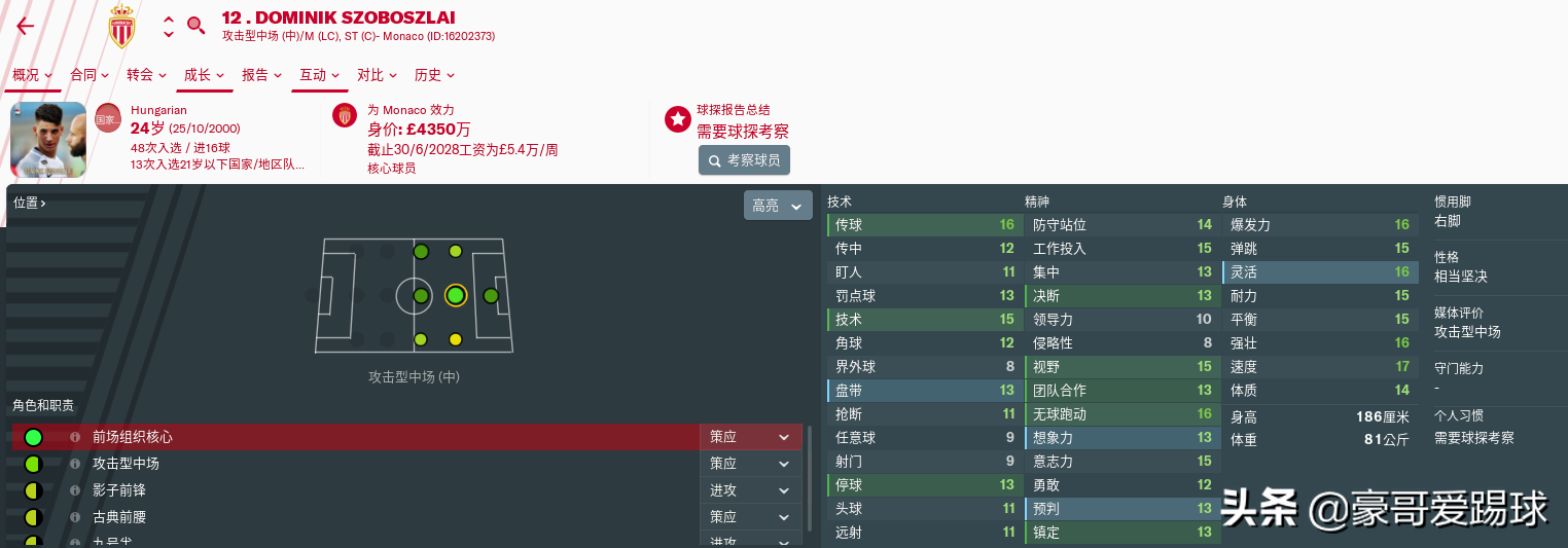 fm2019德甲选什么队伍(FM2019足球经理——两头“红牛”值得使用的球员)